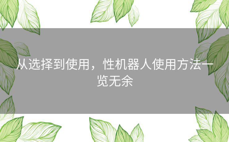 从选择到使用，性机器人使用方法一览无余