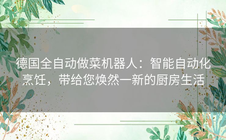 德国全自动做菜机器人：智能自动化烹饪，带给您焕然一新的厨房生活