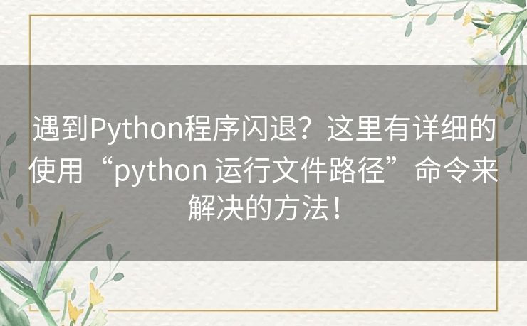 遇到Python程序闪退？这里有详细的使用“python 运行文件路径”命令来解决的方法！