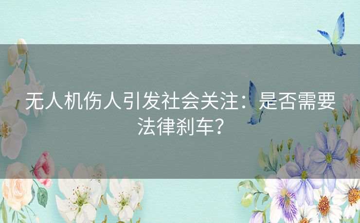 无人机伤人引发社会关注：是否需要法律刹车？