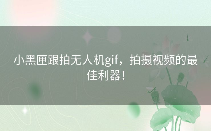小黑匣跟拍无人机gif，拍摄视频的最佳利器！