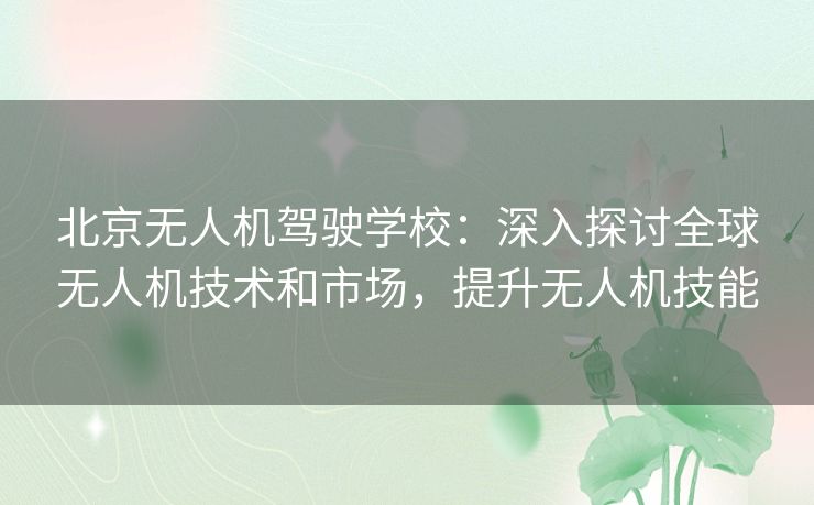 北京无人机驾驶学校：深入探讨全球无人机技术和市场，提升无人机技能