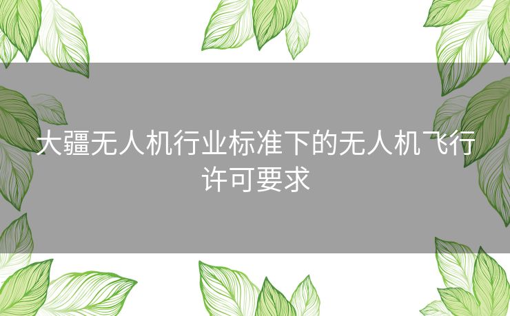 大疆无人机行业标准下的无人机飞行许可要求