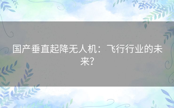 国产垂直起降无人机：飞行行业的未来？