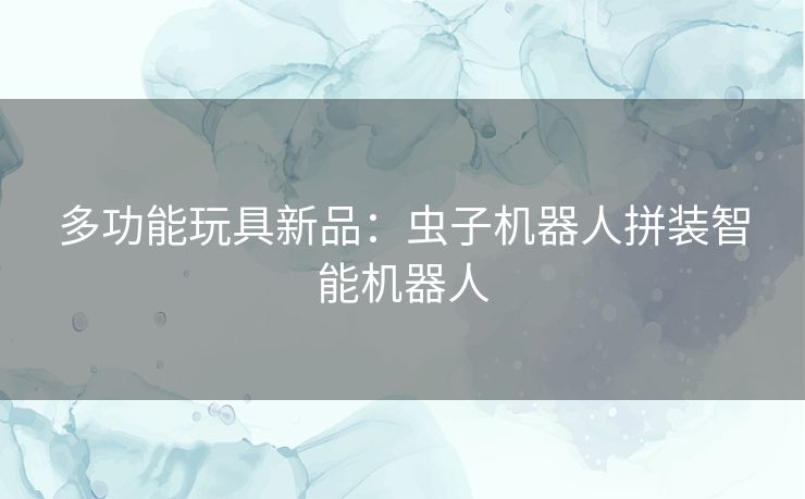 多功能玩具新品：虫子机器人拼装智能机器人