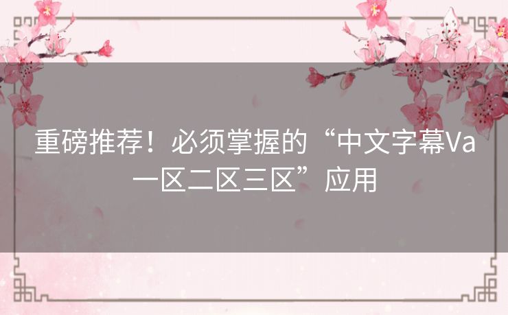 重磅推荐！必须掌握的“中文字幕Va一区二区三区”应用