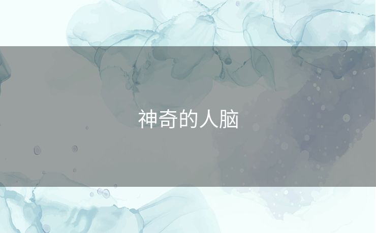 神奇的人脑