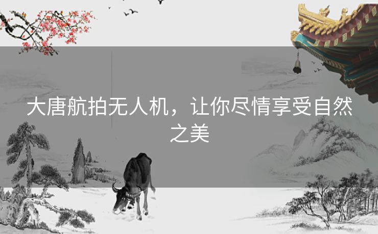 大唐航拍无人机，让你尽情享受自然之美