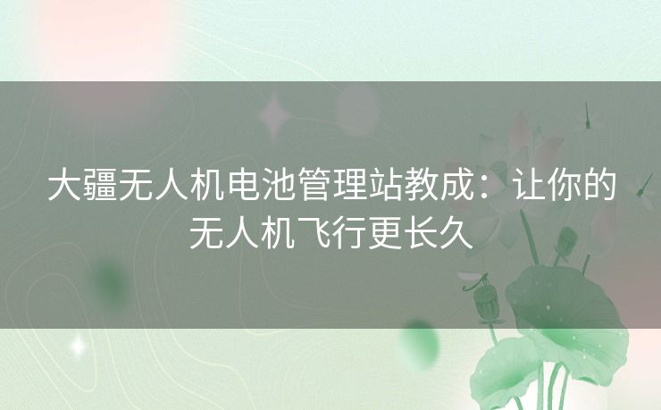 大疆无人机电池管理站教成:让你的无人机飞行更长久 大疆无人机电池管理站教成:让你的无人机飞行更长久