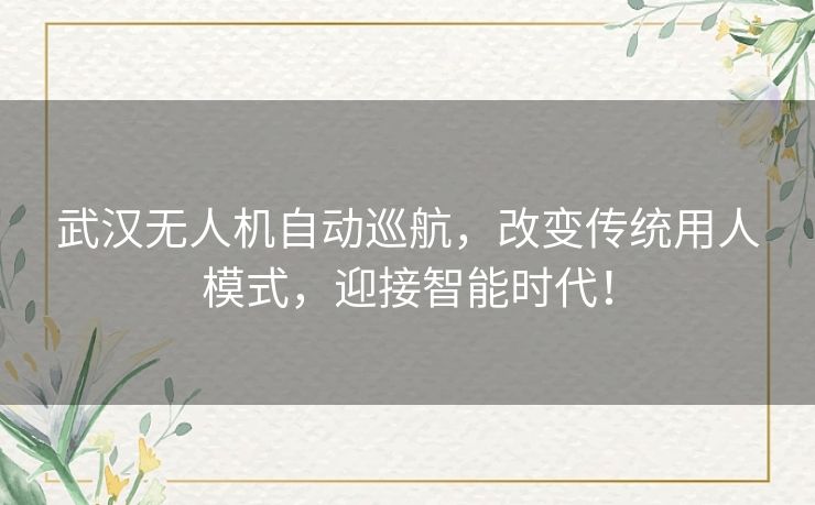 武汉无人机自动巡航，改变传统用人模式，迎接智能时代！