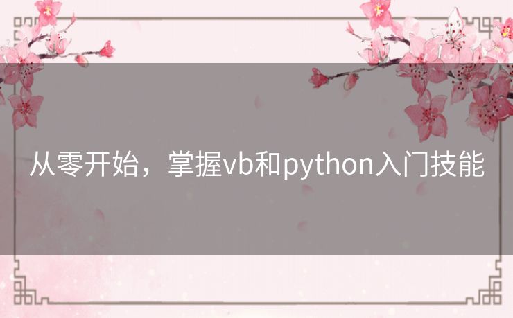 从零开始，掌握vb和python入门技能