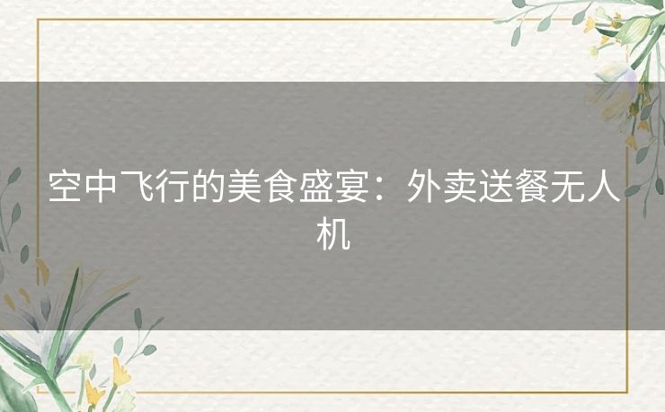 空中飞行的美食盛宴：外卖送餐无人机