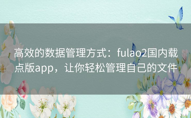 高效的数据管理方式：fulao2国内载点版app，让你轻松管理自己的文件