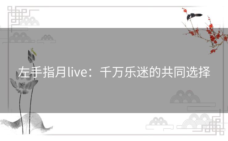 左手指月live：千万乐迷的共同选择