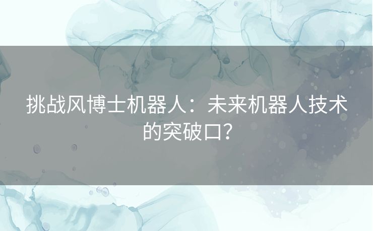 挑战风博士机器人：未来机器人技术的突破口？