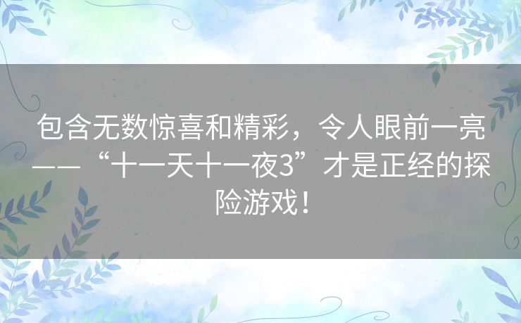 包含无数惊喜和精彩，令人眼前一亮——“十一天十一夜3”才是正经的探险游戏！