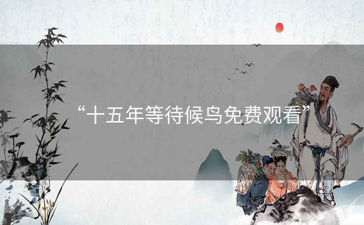 “十五年等待候鸟免费观看”