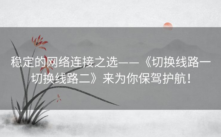 稳定的网络连接之选——《切换线路一切换线路二》来为你保驾护航！