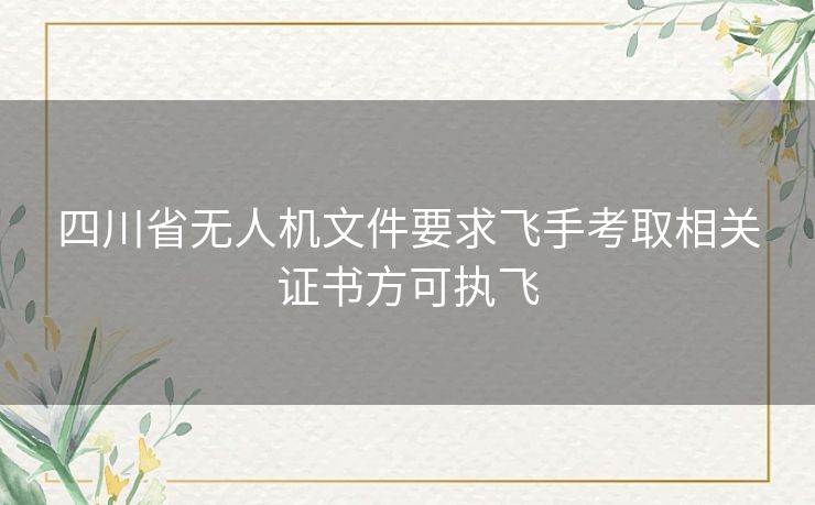 四川省无人机文件要求飞手考取相关证书方可执飞