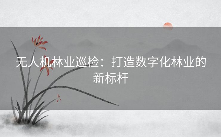 无人机林业巡检：打造数字化林业的新标杆