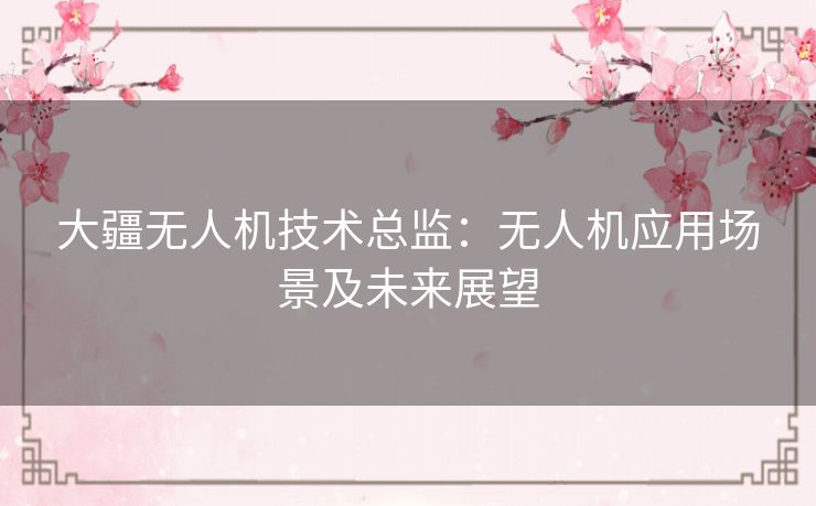 大疆无人机技术总监：无人机应用场景及未来展望