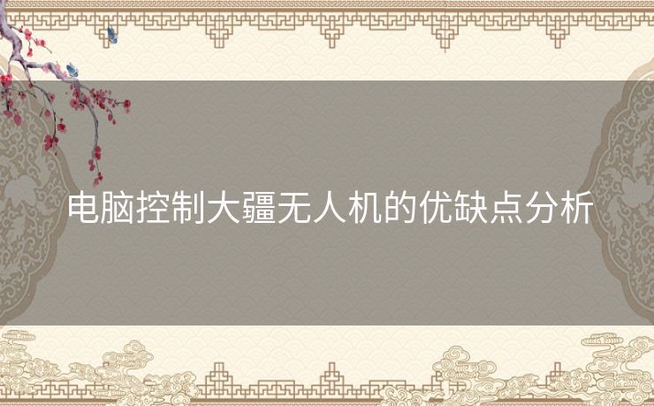 电脑控制大疆无人机的优缺点分析