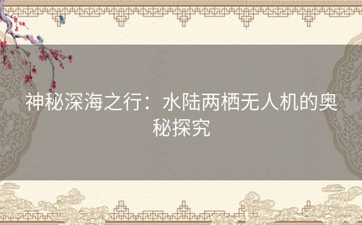 神秘深海之行：水陆两栖无人机的奥秘探究