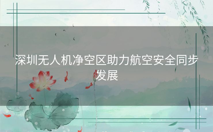 深圳无人机净空区助力航空安全同步发展