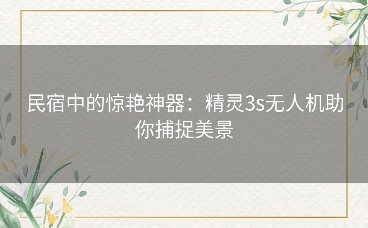 民宿中的惊艳神器：精灵3s无人机助你捕捉美景