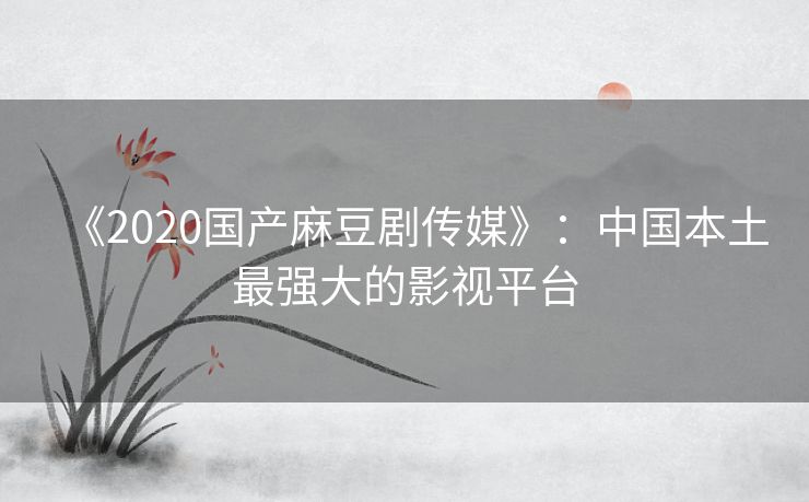 《2020国产麻豆剧传媒》：中国本土最强大的影视平台