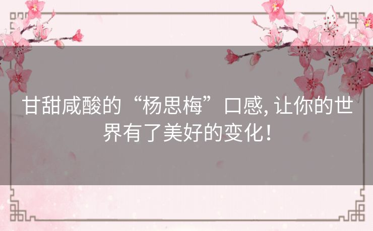 甘甜咸酸的“杨思梅”口感, 让你的世界有了美好的变化！