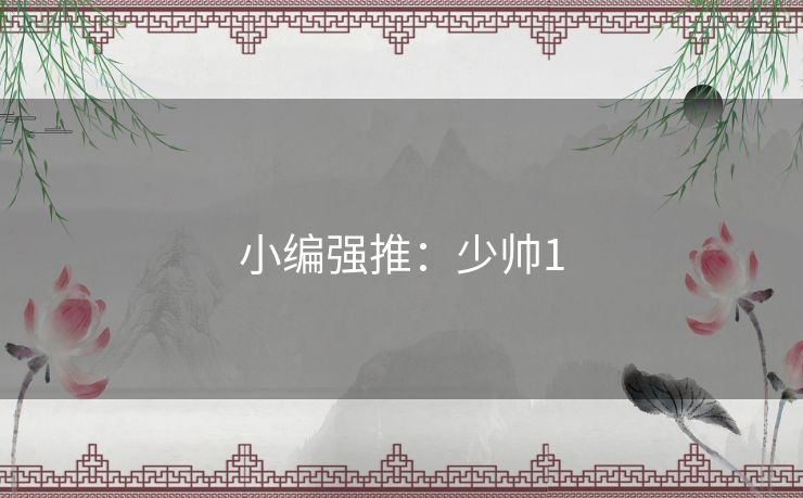 小编强推：少帅1