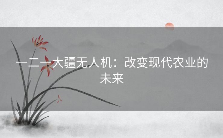 一二一大疆无人机:改变现代农业的未来 一二一大疆无人机:改变现代农业的未来