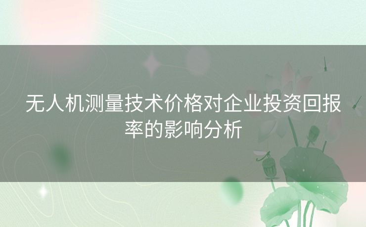 无人机测量技术价格对企业投资回报率的影响分析