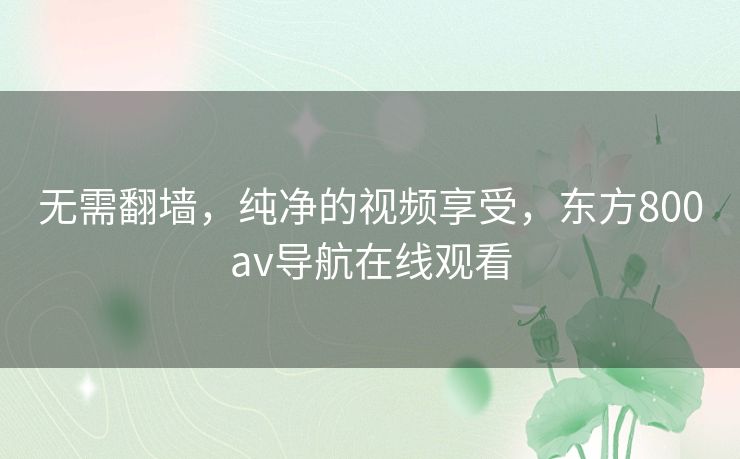 无需翻墙，纯净的视频享受，东方800av导航在线观看
