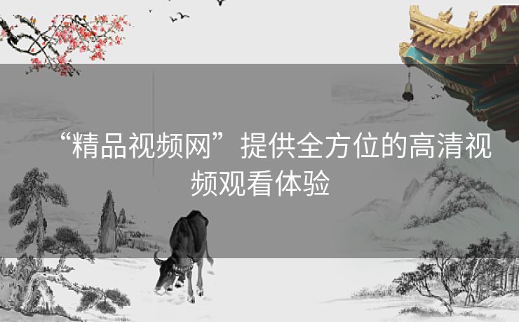 “精品视频网”提供全方位的高清视频观看体验