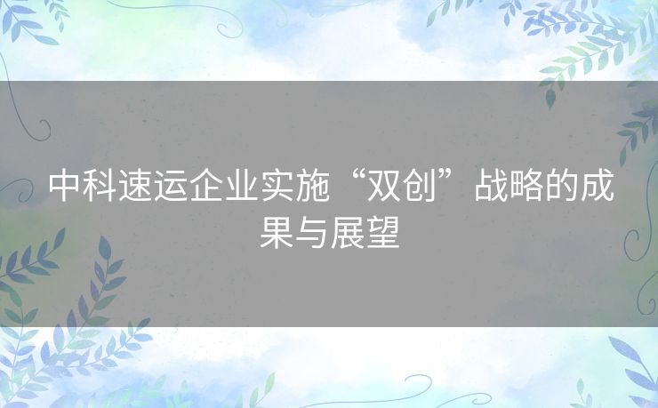 中科速运企业实施“双创”战略的成果与展望