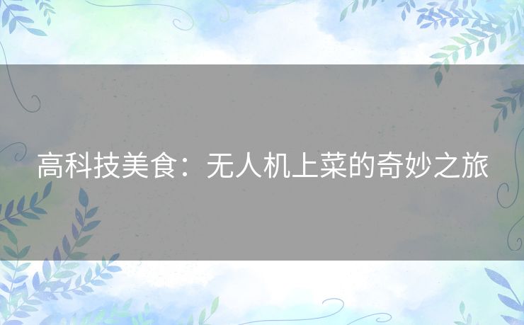 高科技美食：无人机上菜的奇妙之旅