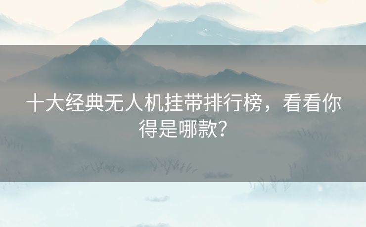 十大经典无人机挂带排行榜,看看你得是哪款? 十大经典无人机挂带排行榜,看看你得是哪款?