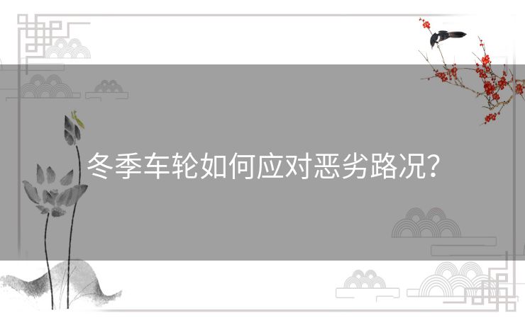 冬季车轮如何应对恶劣路况？