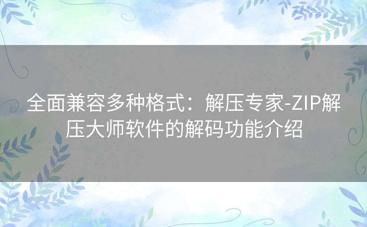 全面兼容多种格式：解压专家-ZIP解压大师软件的解码功能介绍