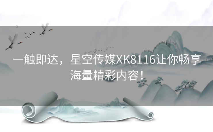 一触即达，星空传媒XK8116让你畅享海量精彩内容！