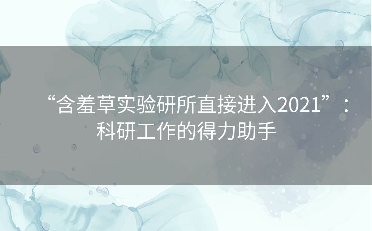 “含羞草实验研所直接进入2021”：科研工作的得力助手