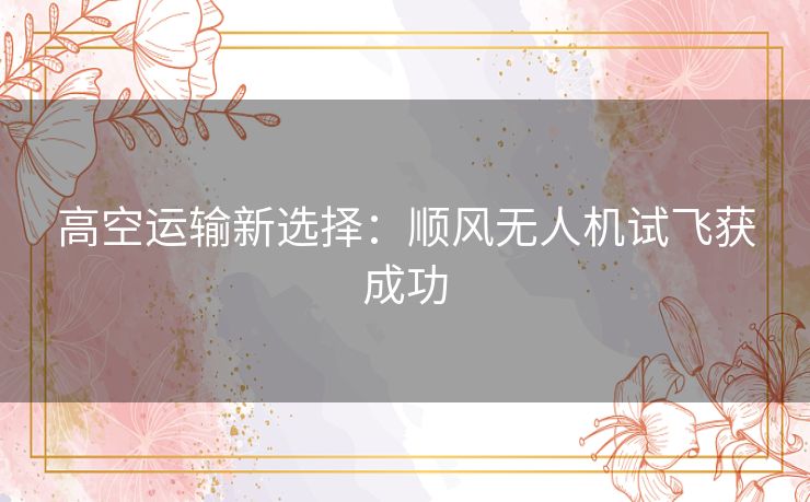高空运输新选择:顺风无人机试飞获成功 高空运输新选择:顺风无人机试飞获成功