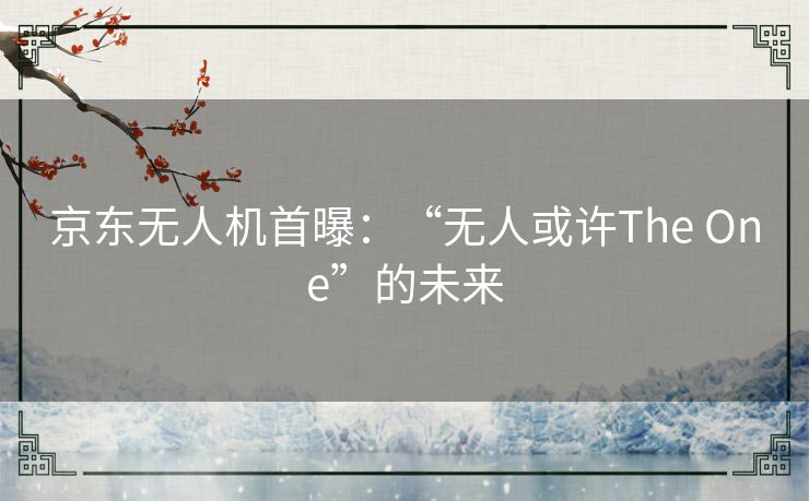 京东无人机首曝：“无人或许The One”的未来