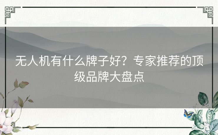 无人机有什么牌子好？专家推荐的顶级品牌大盘点