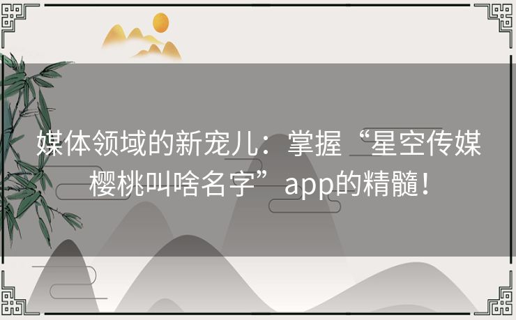 媒体领域的新宠儿：掌握“星空传媒樱桃叫啥名字”app的精髓！