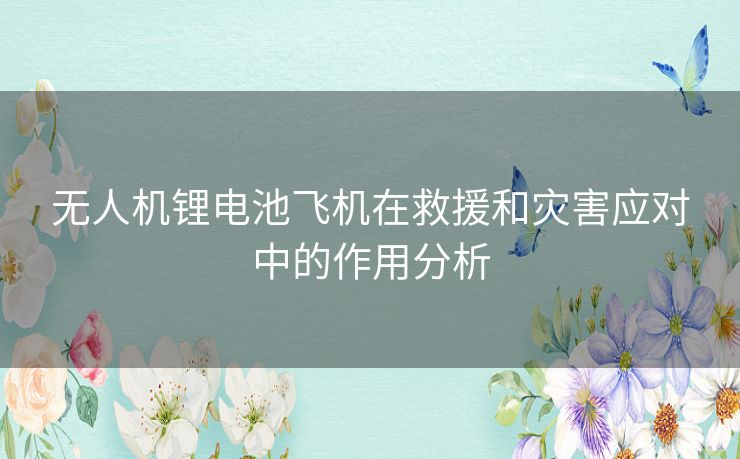 无人机锂电池飞机在救援和灾害应对中的作用分析
