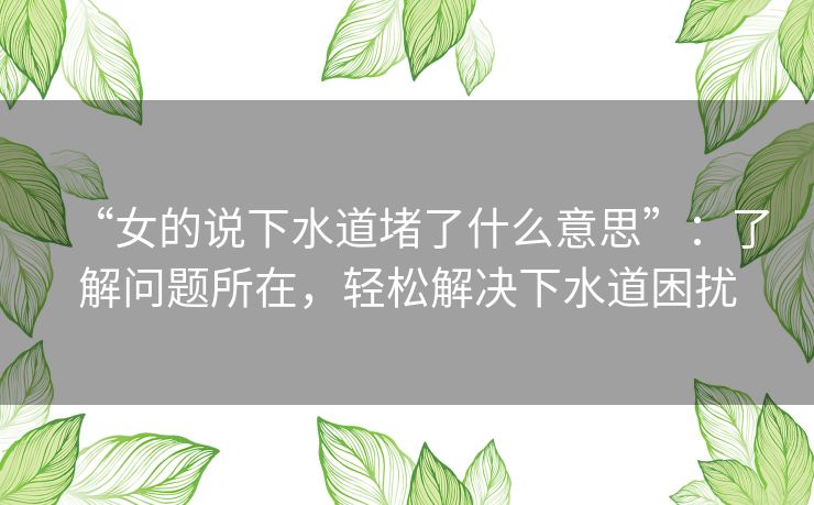 “女的说下水道堵了什么意思”：了解问题所在，轻松解决下水道困扰