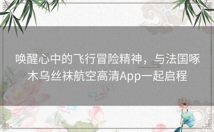 唤醒心中的飞行冒险精神，与法国啄木乌丝袜航空高清App一起启程